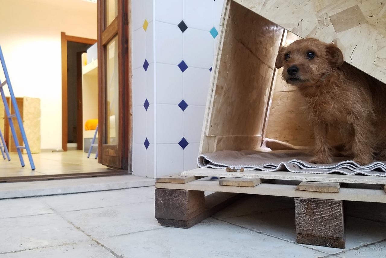 Hostel Sardinia Куарту-Сант'Елена Екстер'єр фото